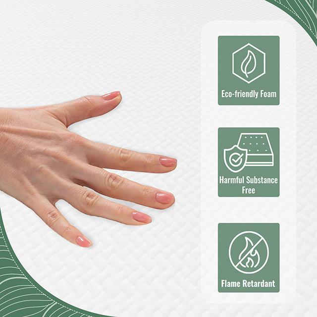 Coreopsis 8" Memory Foam Wave Comfort