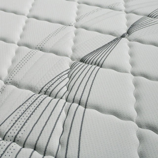 Edrea 10 Tight Top Pocket Coil