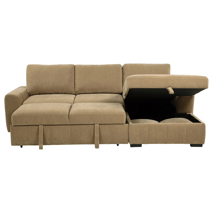 Pastrana Pull-Out Sleeper Sectional Sofa